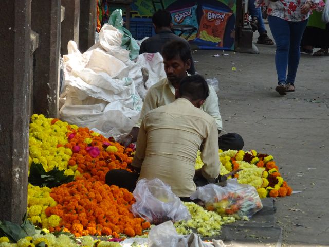 Bombay